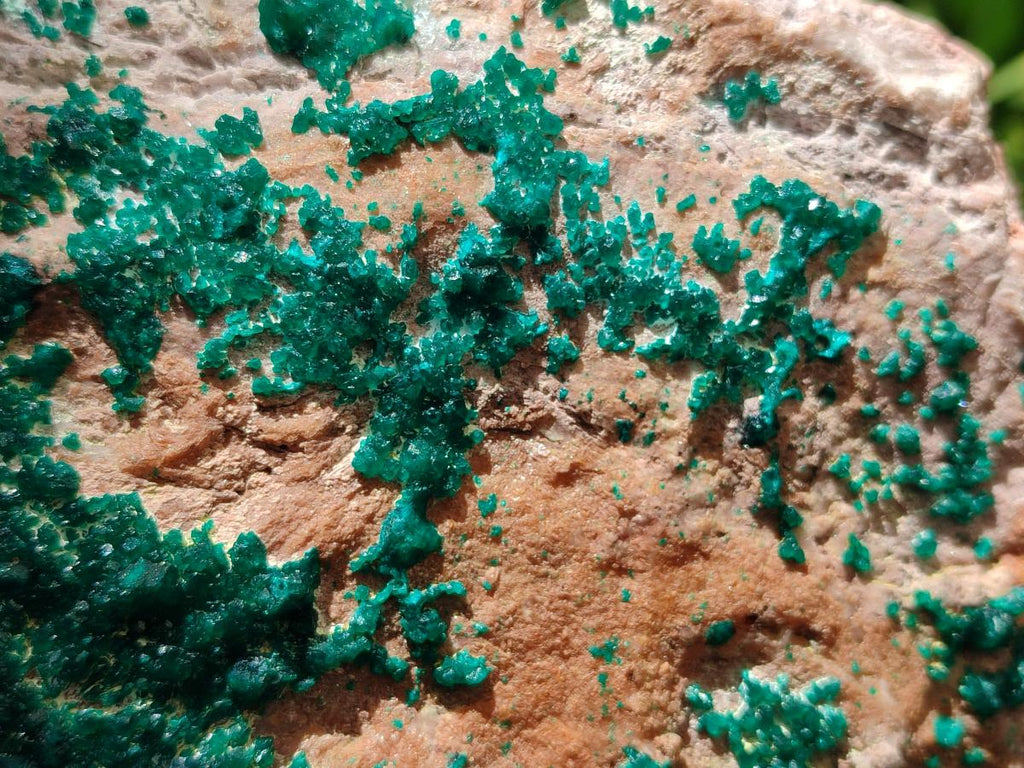 Natural XL Dioptase On Dolomite Specimen x 1 From Likasi, Congo