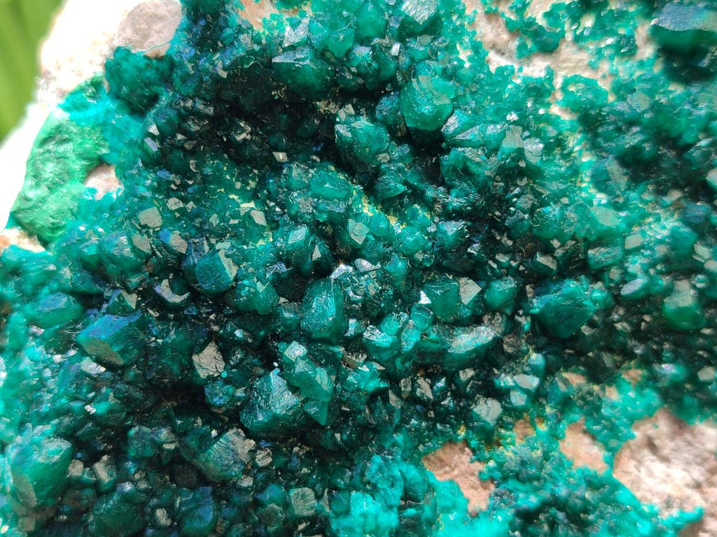 Natural XL Dioptase On Dolomite Specimen x 1 From Likasi, Congo
