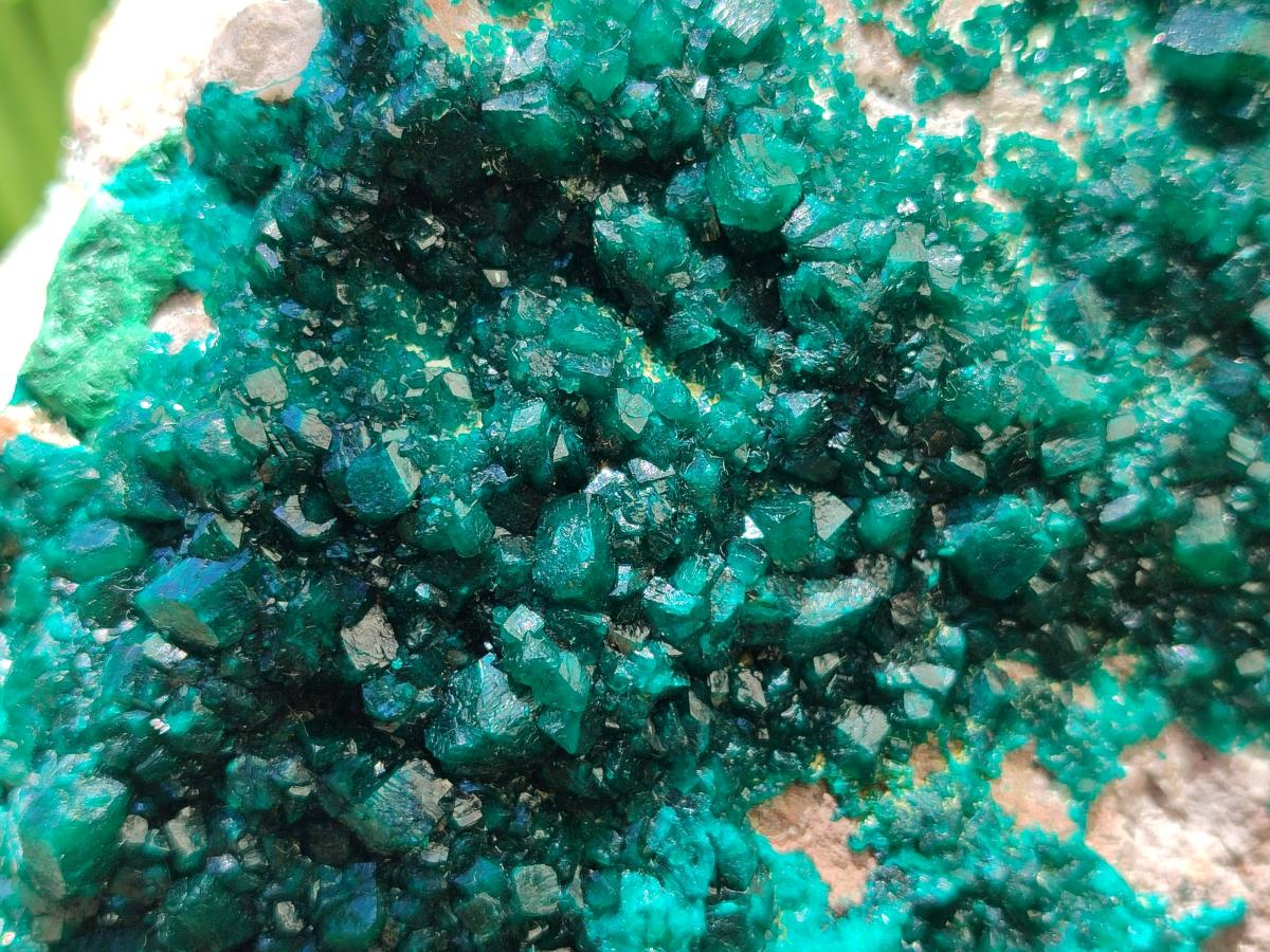 Natural XL Dioptase On Dolomite Specimen x 1 From Likasi, Congo