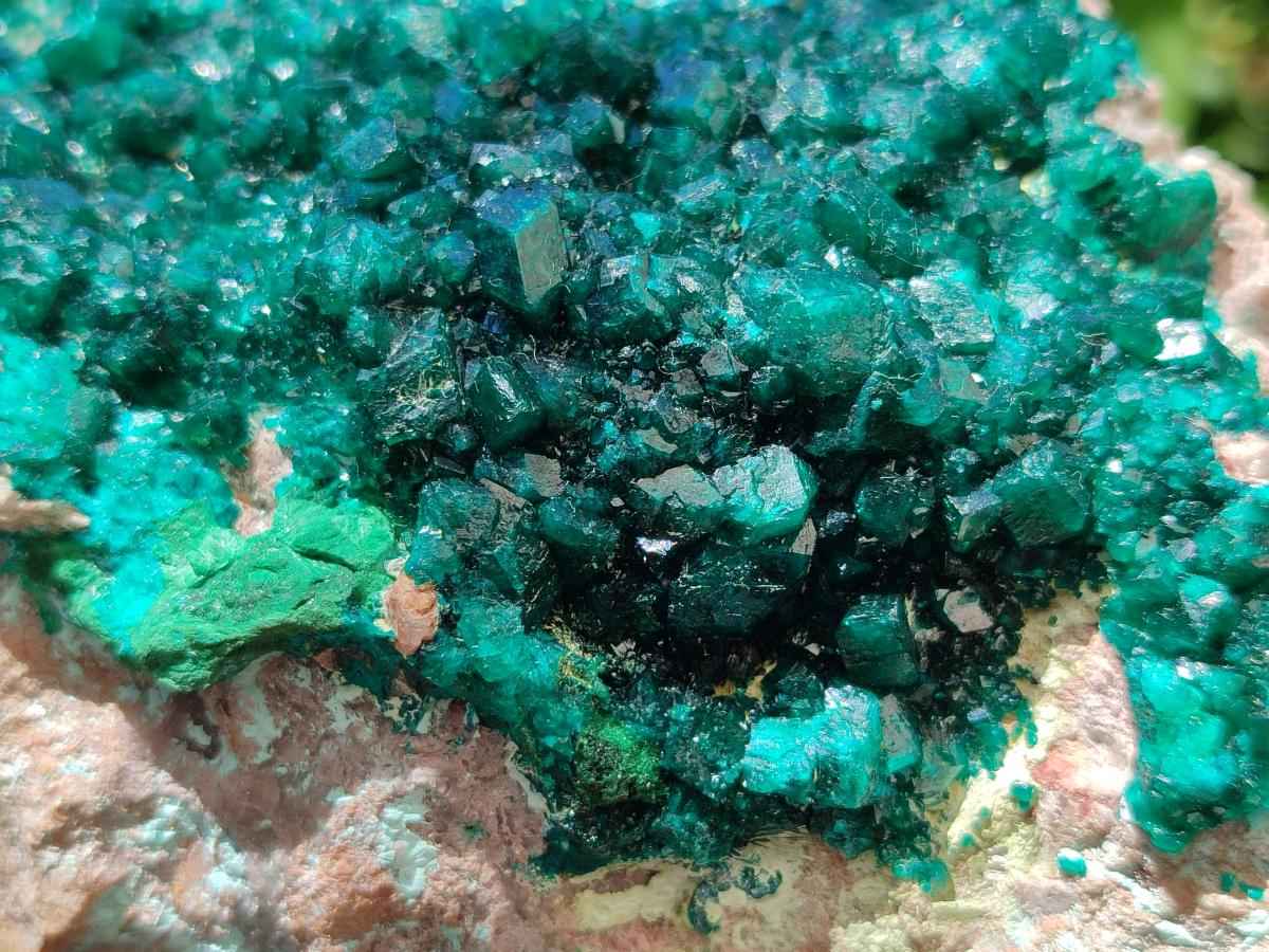 Natural XL Dioptase On Dolomite Specimen x 1 From Likasi, Congo