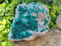 Natural XL Dioptase On Dolomite Specimen x 1 From Likasi, Congo