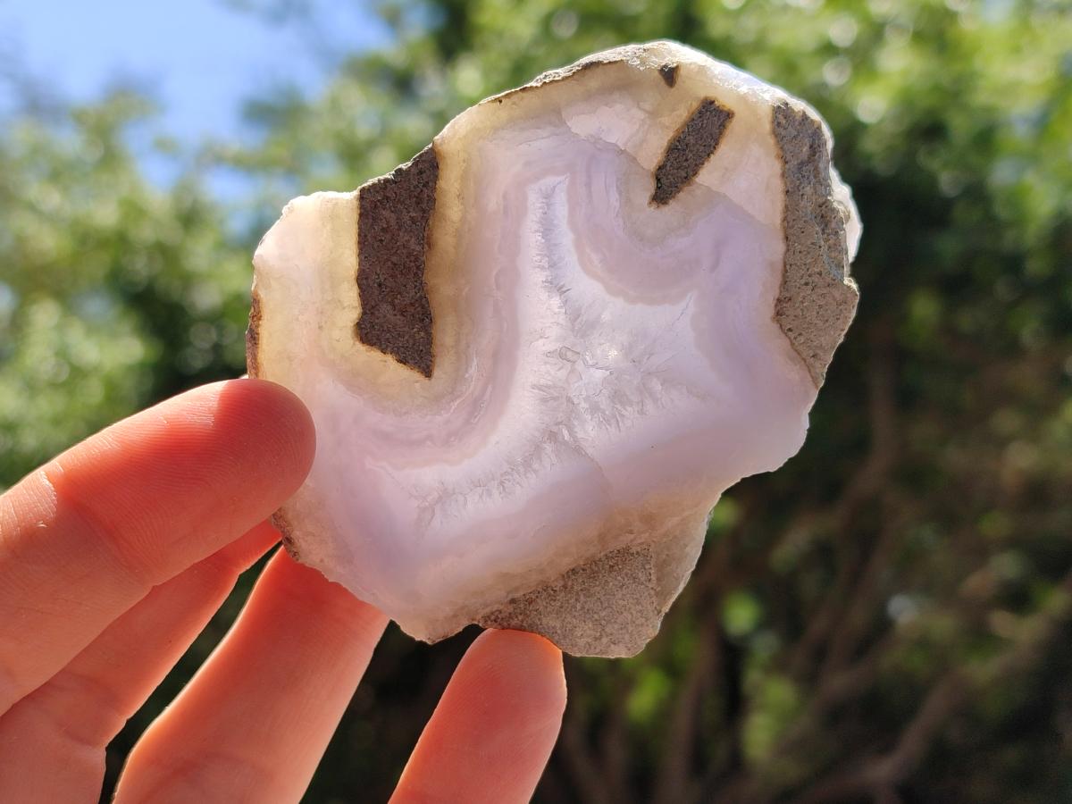 Polished On One Side Blue Lace Agate Geodes x 13 From Nsanje, Malawi