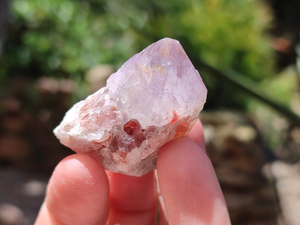 Natural Mixed White and Amethyst Spirit Crystals x 70 From Boekenhouthoek, South Africa