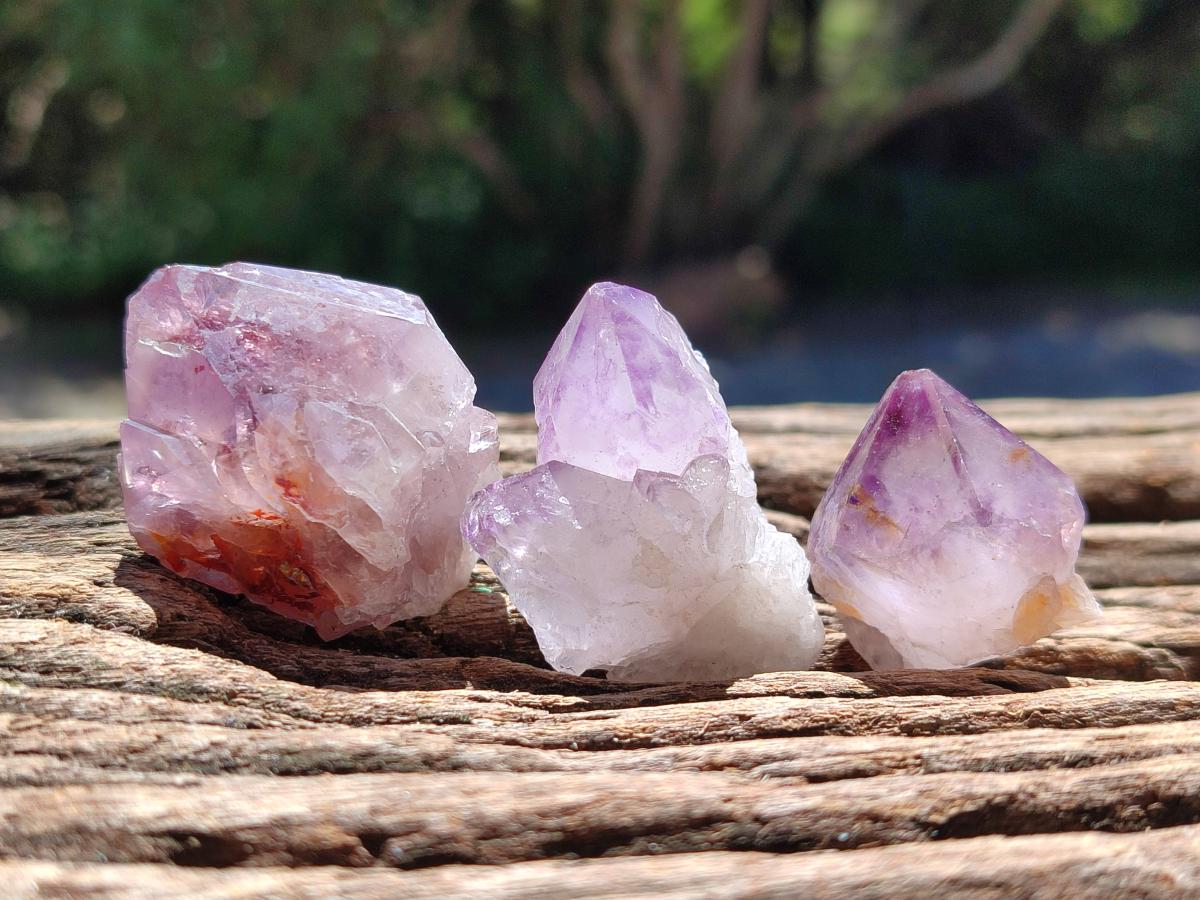 Natural Mixed White and Amethyst Spirit Crystals x 70 From Boekenhouthoek, South Africa