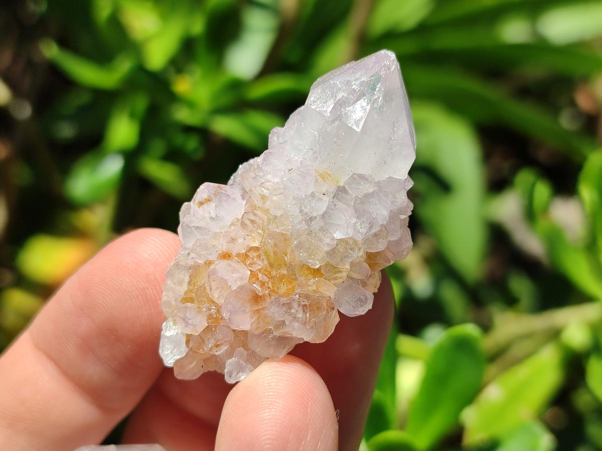 Natural Mixed White and Amethyst Spirit Crystals x 70 From Boekenhouthoek, South Africa