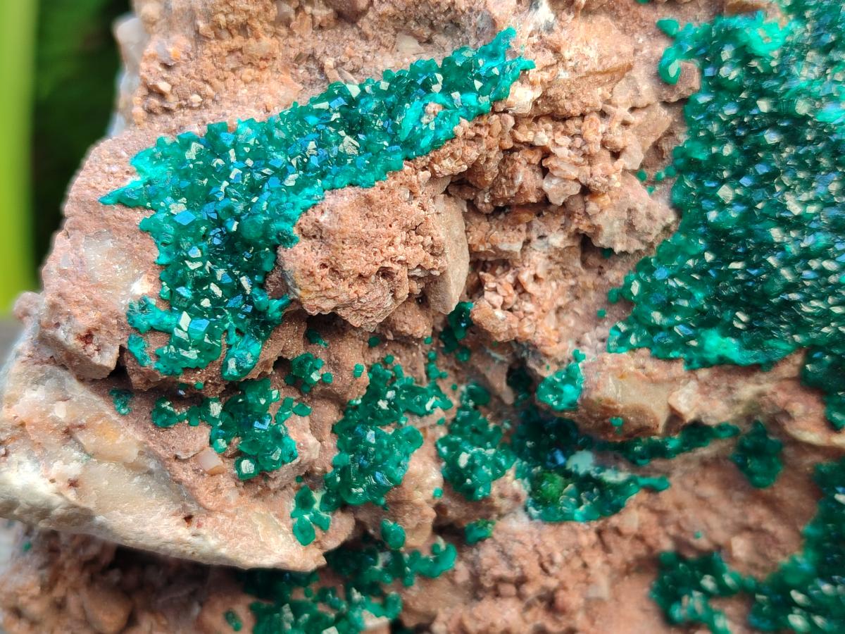 Natural Dioptase On Dolomite Specimens x 1 From Likasi, Congo