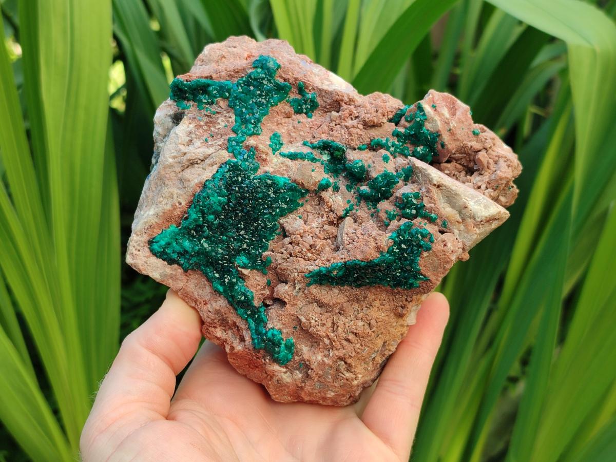 Natural Dioptase On Dolomite Specimens x 1 From Likasi, Congo - Toprock Gemstones and Minerals 