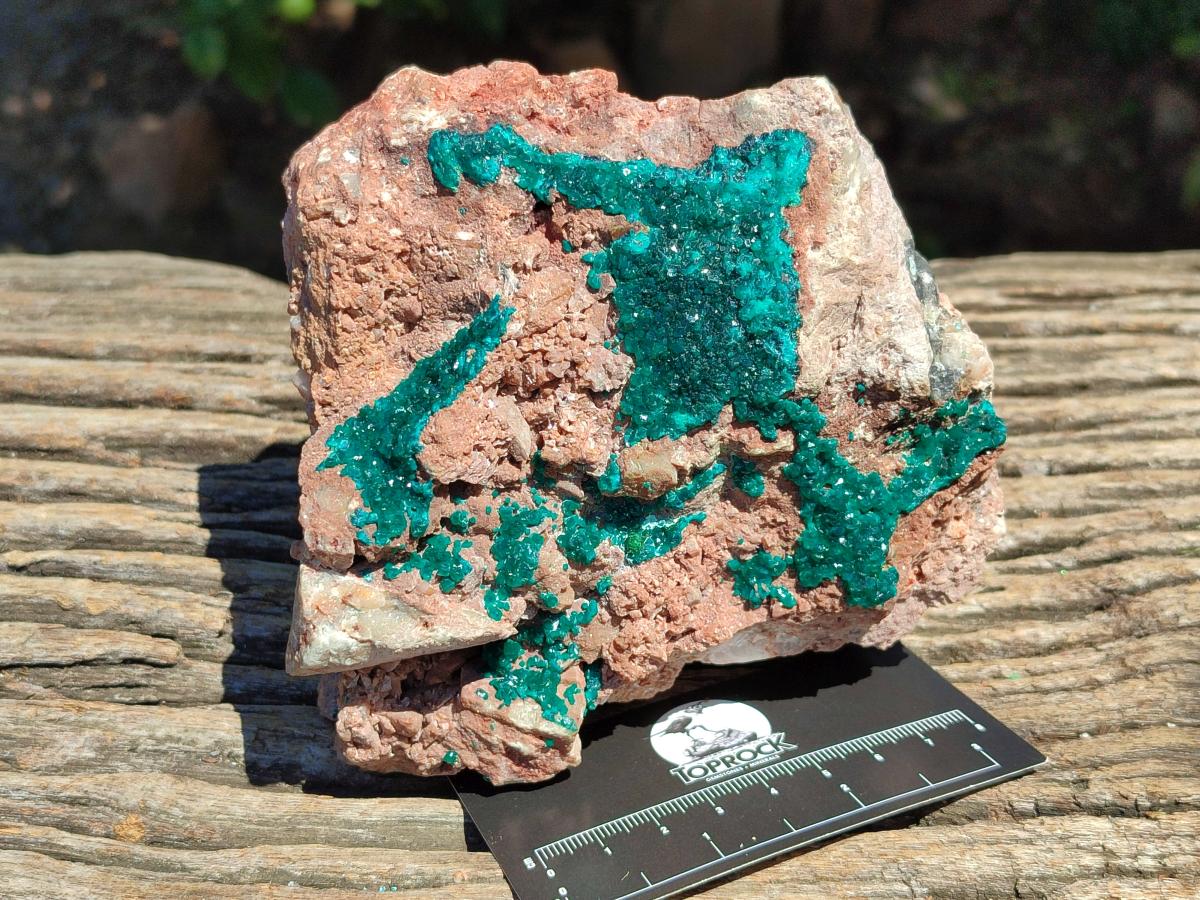 Natural Dioptase On Dolomite Specimens x 1 From Likasi, Congo - Toprock Gemstones and Minerals 