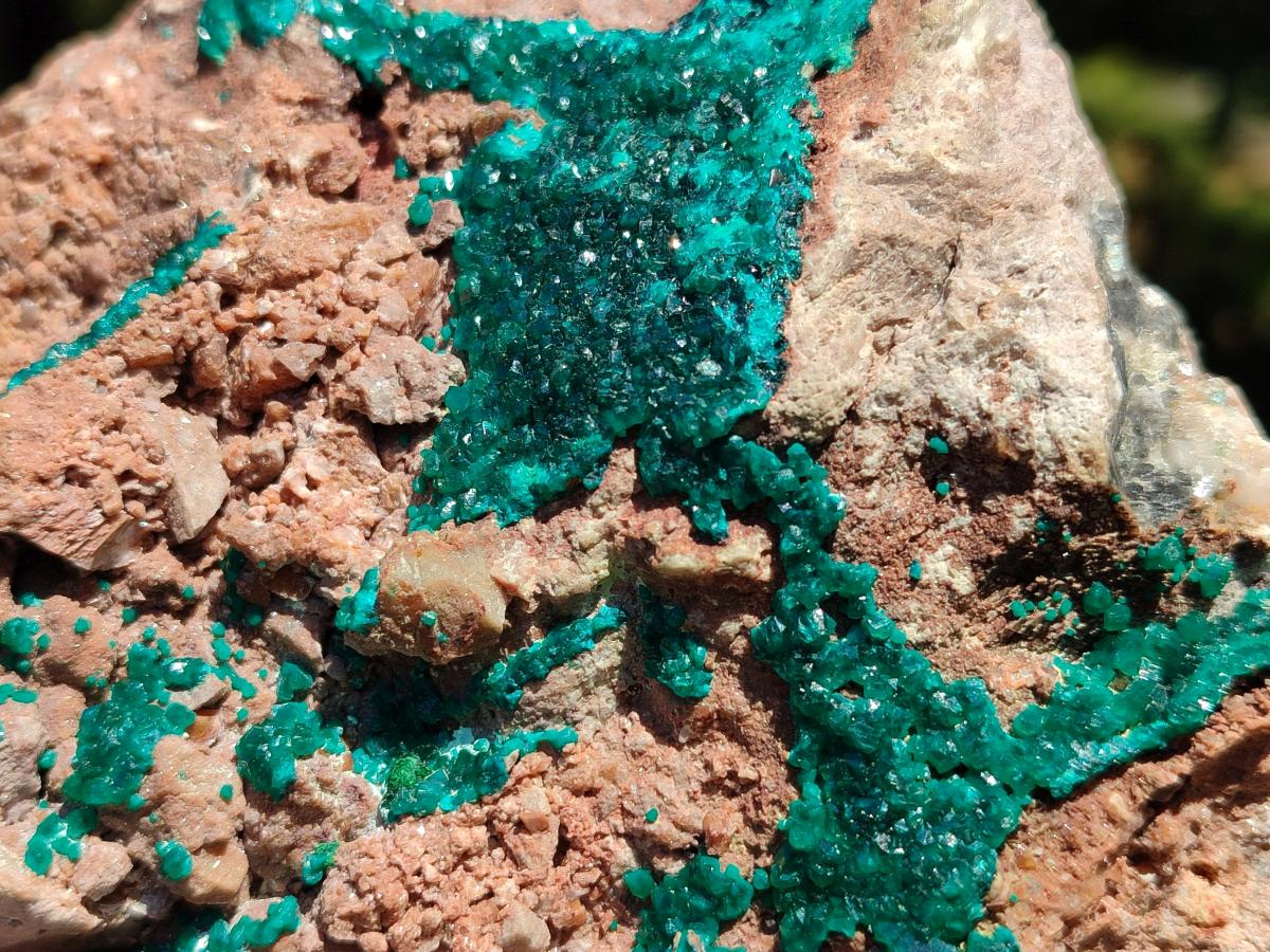 Natural Dioptase On Dolomite Specimens x 1 From Likasi, Congo