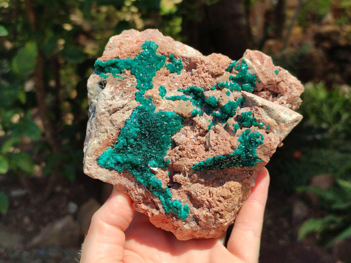 Natural Dioptase On Dolomite Specimens x 1 From Likasi, Congo
