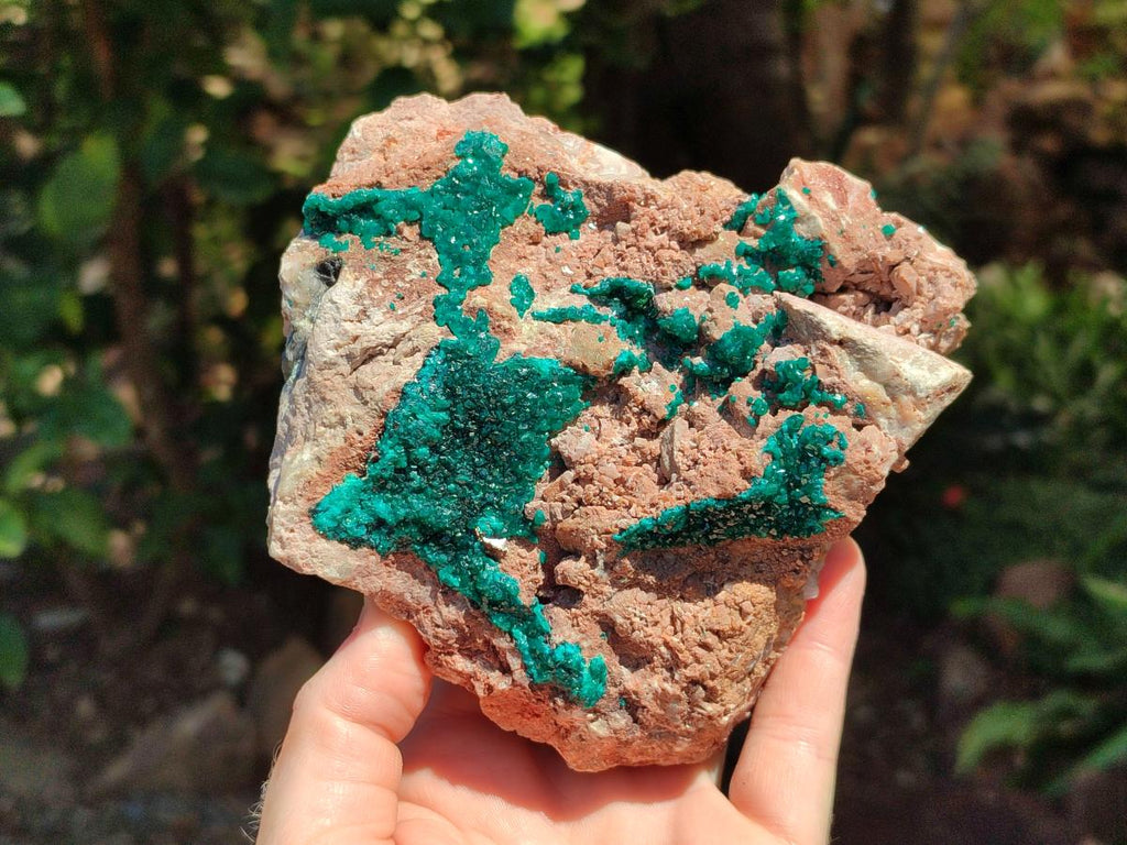 Natural Dioptase On Dolomite Specimens x 1 From Likasi, Congo - Toprock Gemstones and Minerals 
