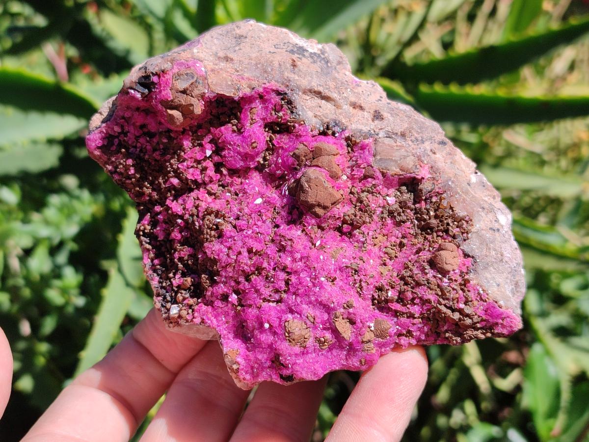 Natural Salrose Cobaltion Dolomite Specimens x 4 From Kakanda, Congo