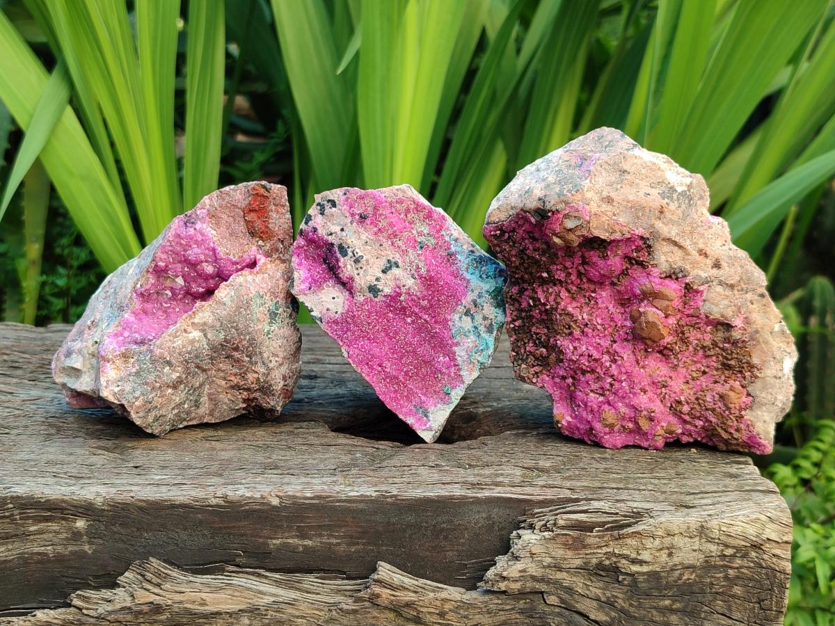 Natural Salrose Cobaltion Dolomite Specimens x 4 From Kakanda, Congo - Toprock Gemstones and Minerals 