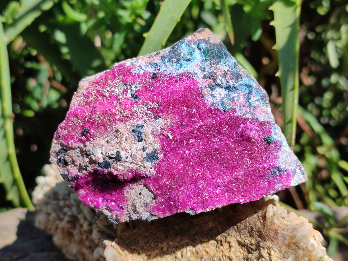 Natural Salrose Cobaltion Dolomite Specimens x 4 From Kakanda, Congo - Toprock Gemstones and Minerals 