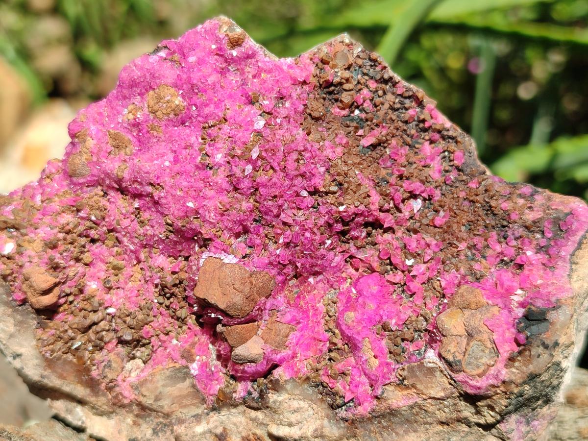 Natural Salrose Cobaltion Dolomite Specimens x 4 From Kakanda, Congo - Toprock Gemstones and Minerals 