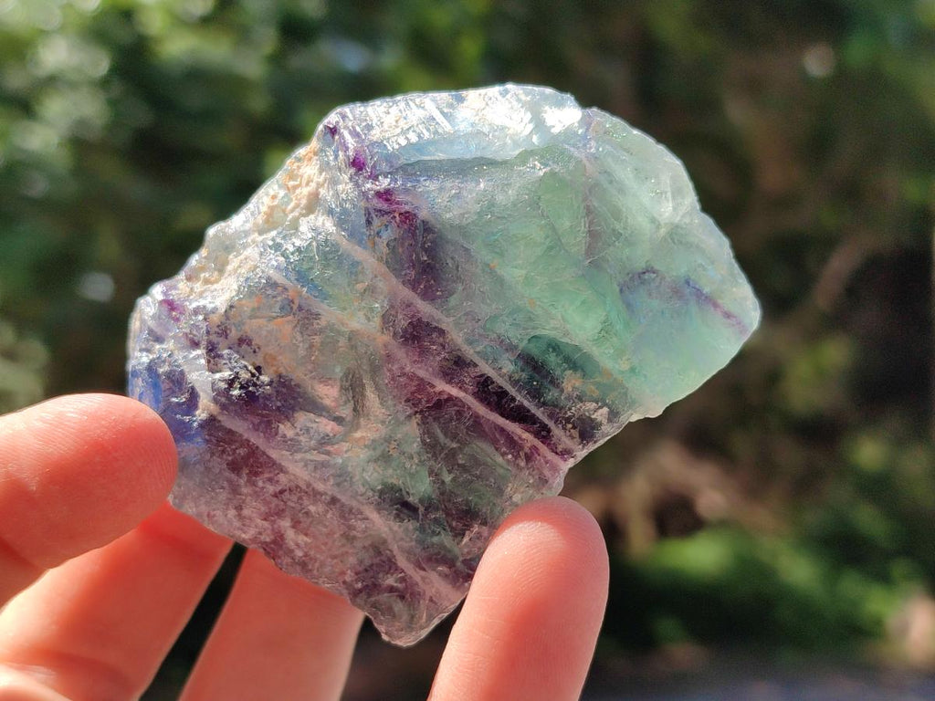Natural Watermelon Fluorite Cobbed Specimens x 24 From Uis, Namibia