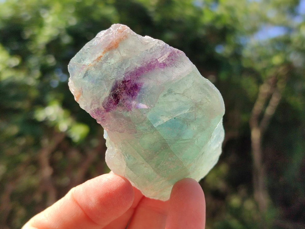 Natural Watermelon Fluorite Cobbed Specimens x 24 From Uis, Namibia