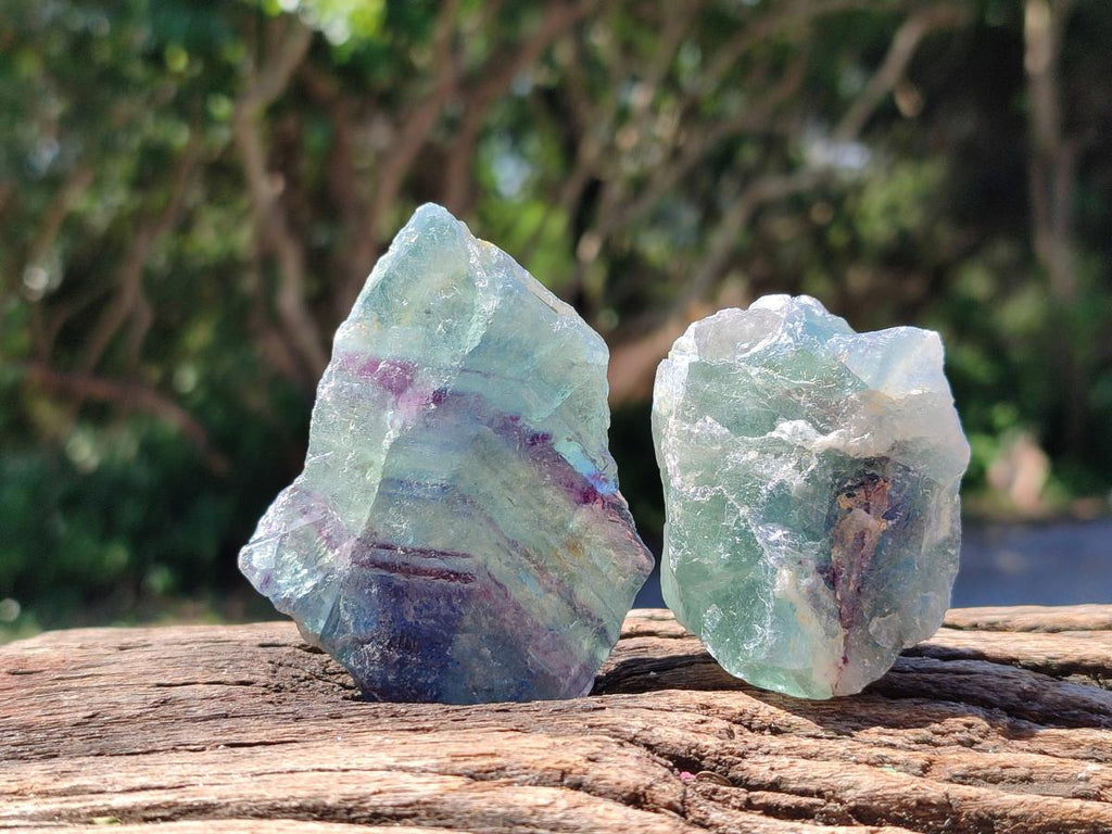 Natural Watermelon Fluorite Cobbed Specimens x 24 From Uis, Namibia