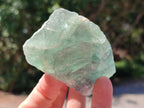 Natural Watermelon Fluorite Cobbed Specimens x 24 From Uis, Namibia