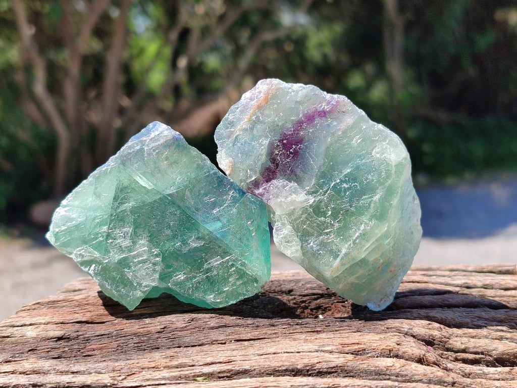 Natural Watermelon Fluorite Cobbed Specimens x 24 From Uis, Namibia