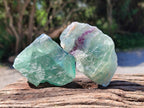 Natural Watermelon Fluorite Cobbed Specimens x 24 From Uis, Namibia