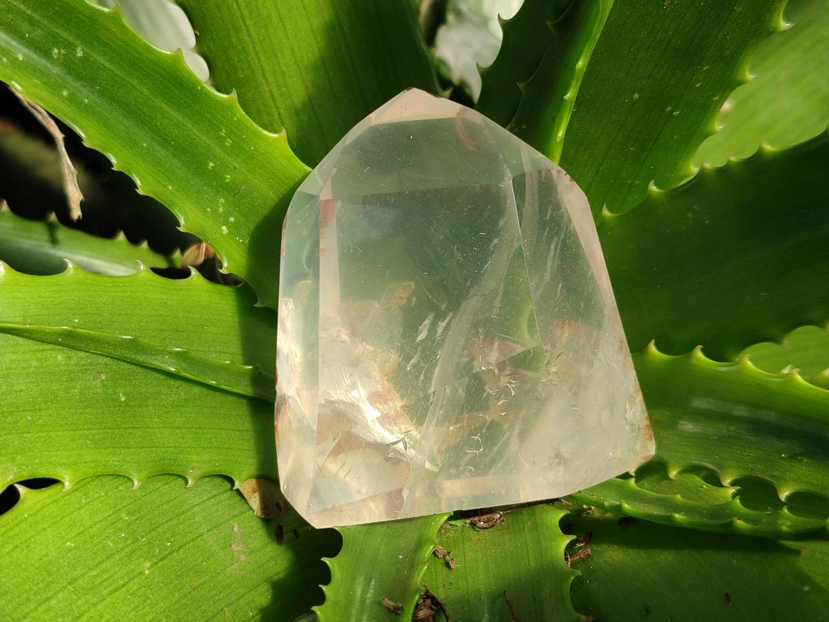Polished Clear Quartz Crystals x 6 From Madagascar