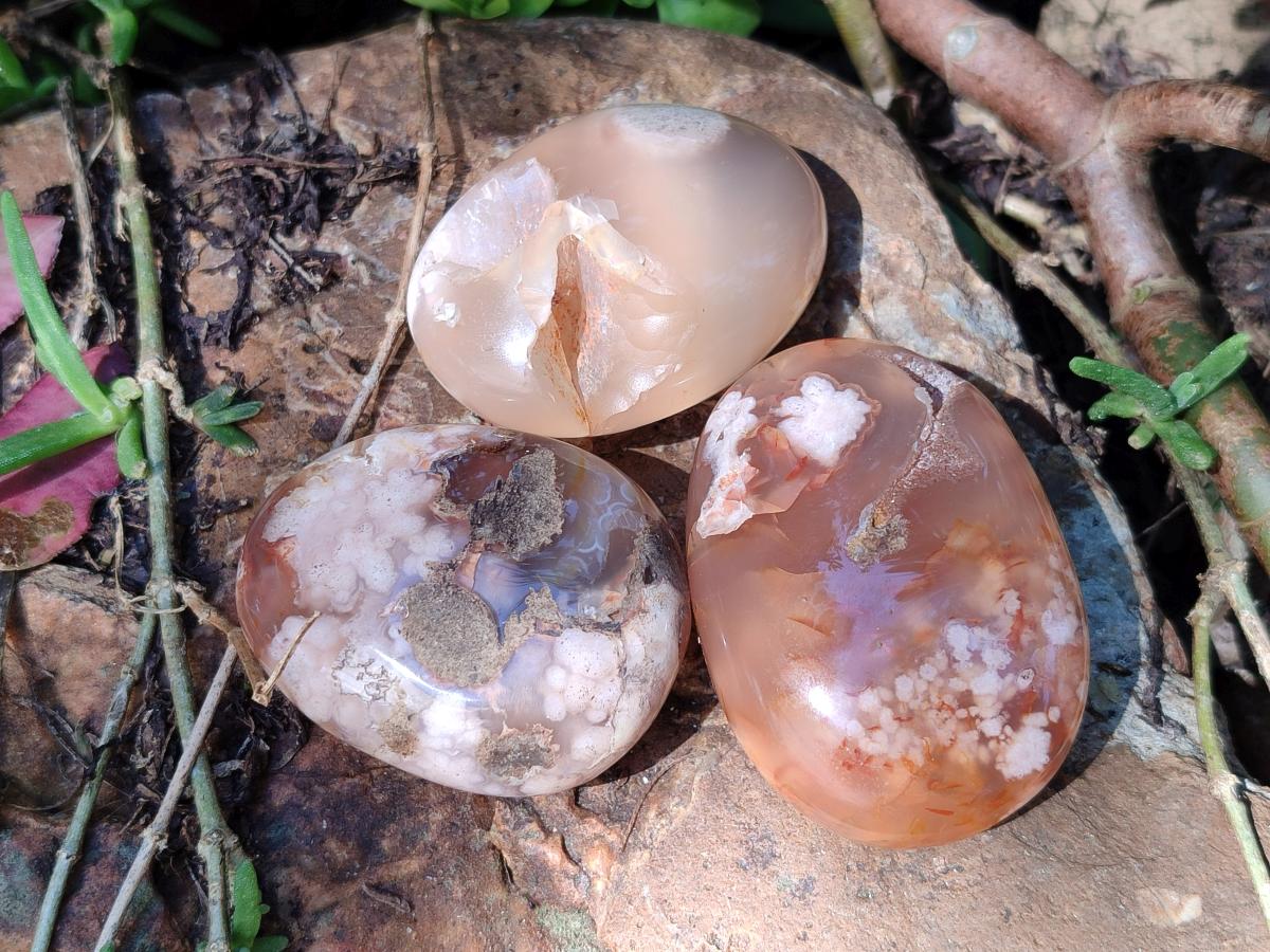 Polished Flower Agate Galets x 12 From Antsahalova, Madagascar