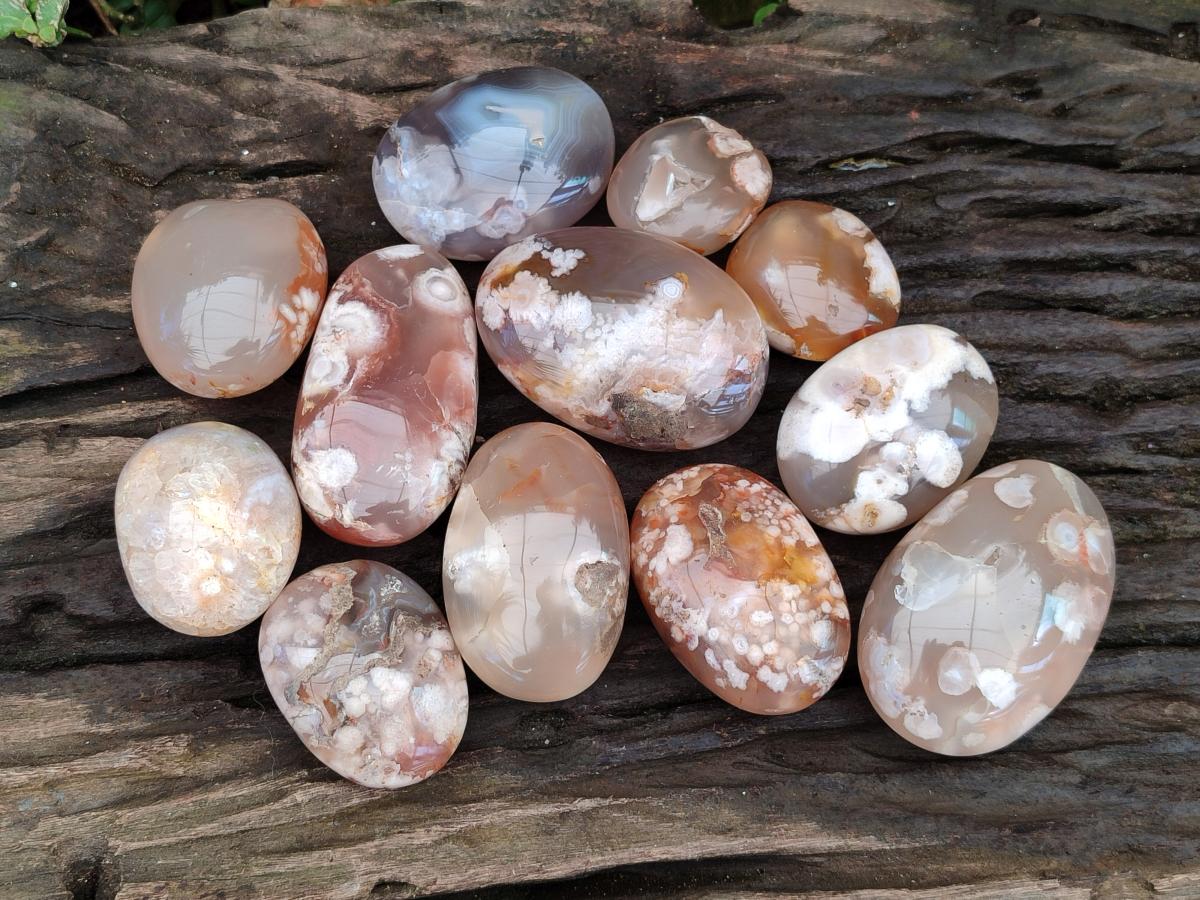 Polished Flower Agate Galets x 12 From Antsahalova, Madagascar