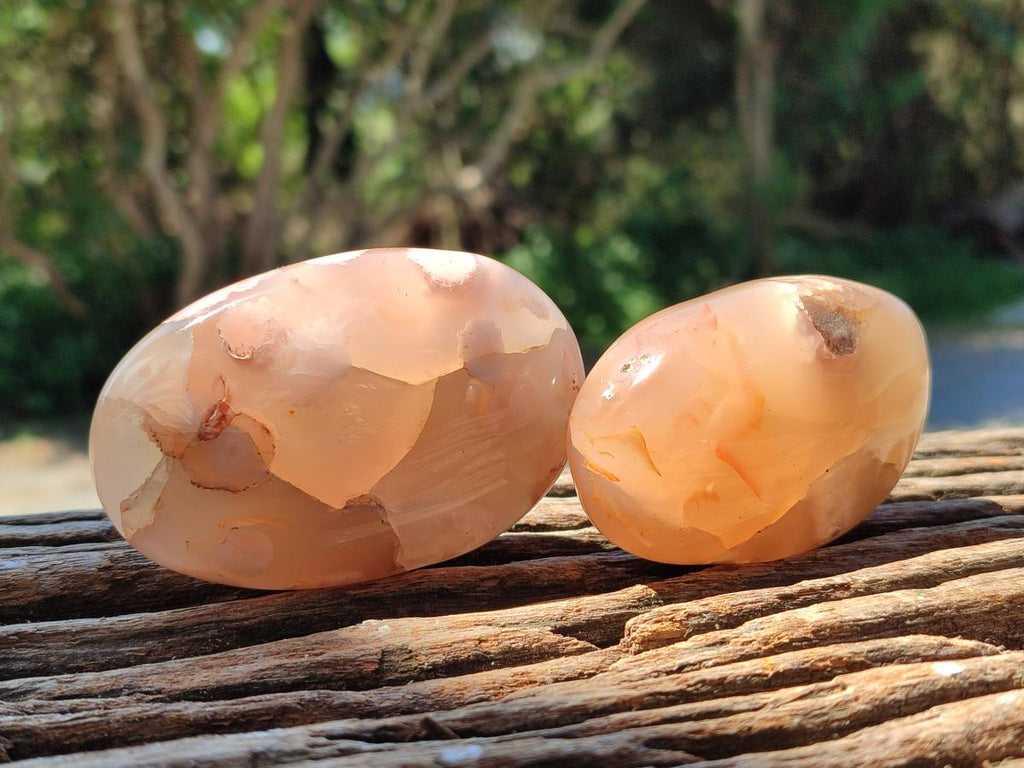 Polished Flower Agate Galets x 12 From Antsahalova, Madagascar