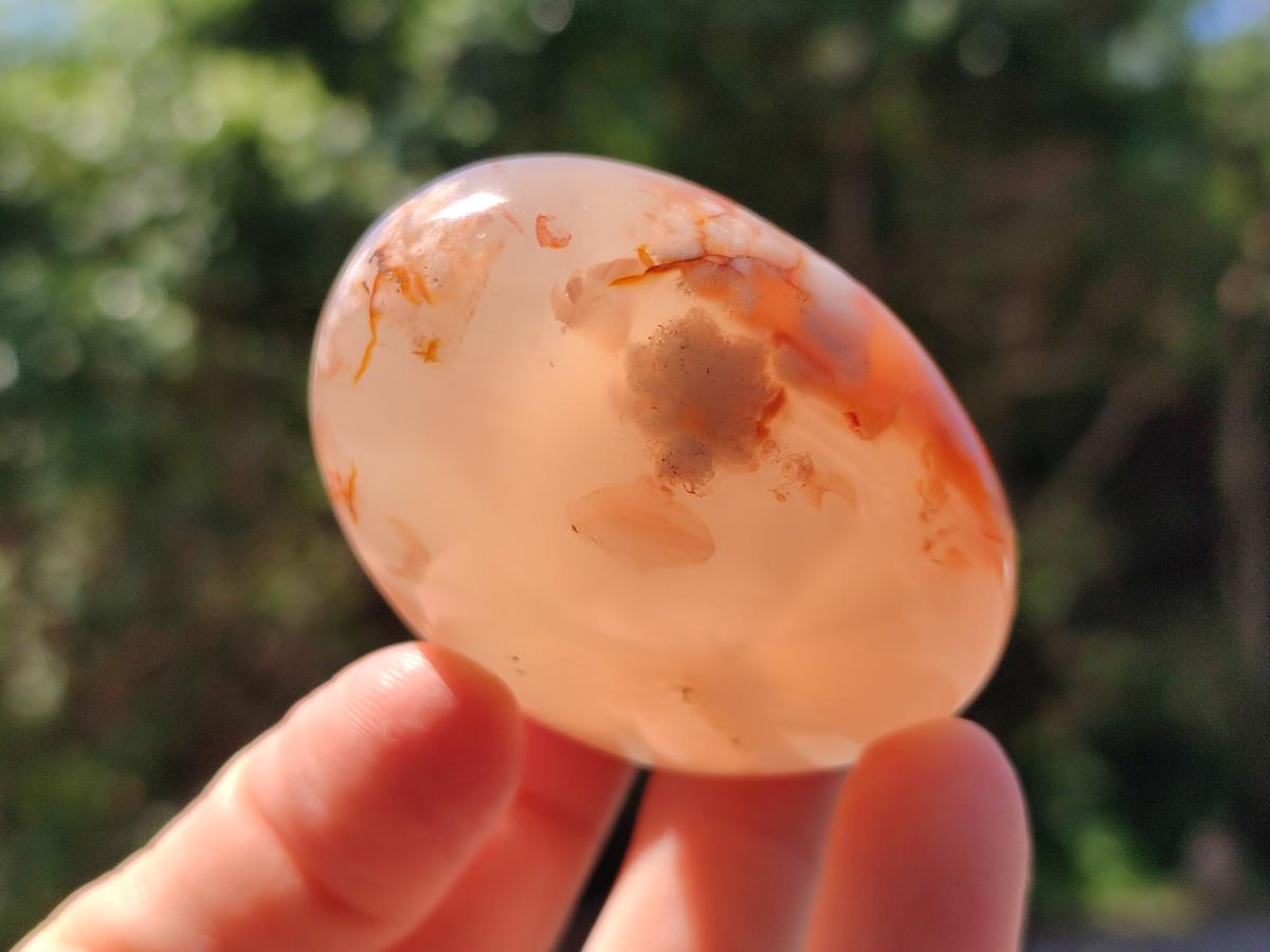 Polished Flower Agate Galets x 12 From Antsahalova, Madagascar