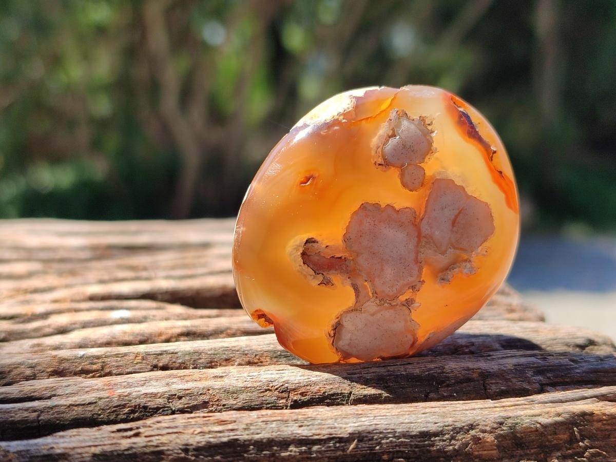 Polished Flower Agate Galets x 12 From Antsahalova, Madagascar