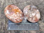 Polished Flower Agate Galets x 12 From Antsahalova, Madagascar