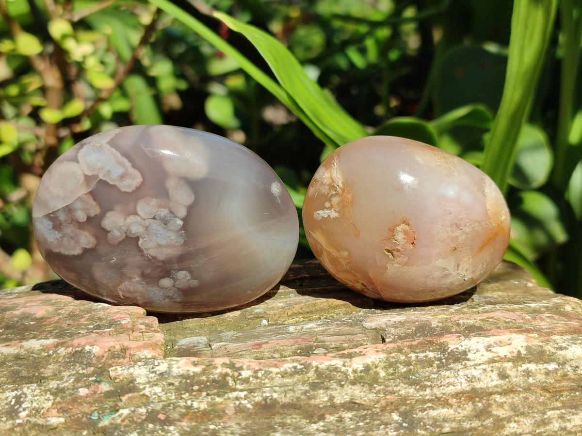 Polished Flower Agate Galets x 12 From Antsahalova, Madagascar
