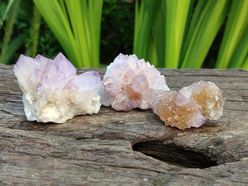 Natural Sunburst Amethyst Spirit Clusters x 20 From Boekenhouthoek, South Africa