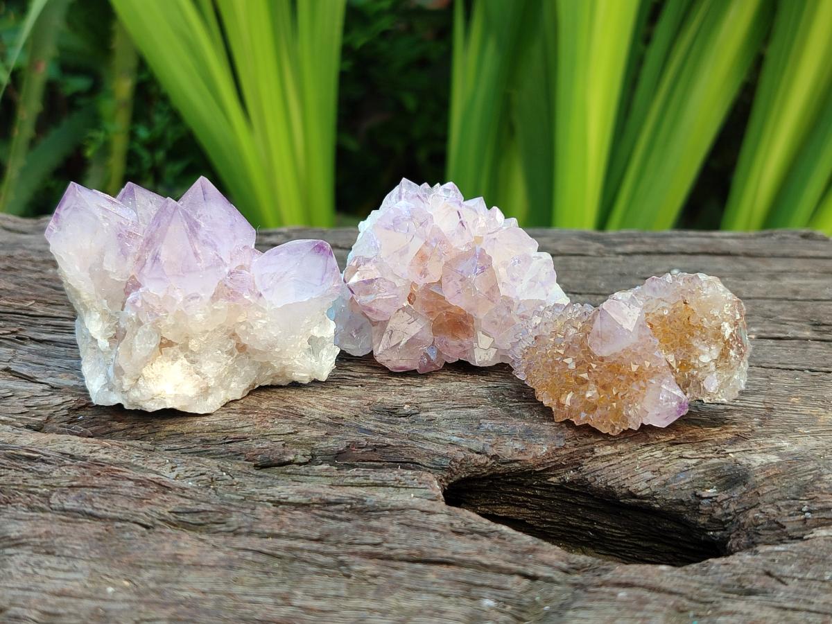 Natural Sunburst Amethyst Spirit Clusters x 20 From Boekenhouthoek, South Africa