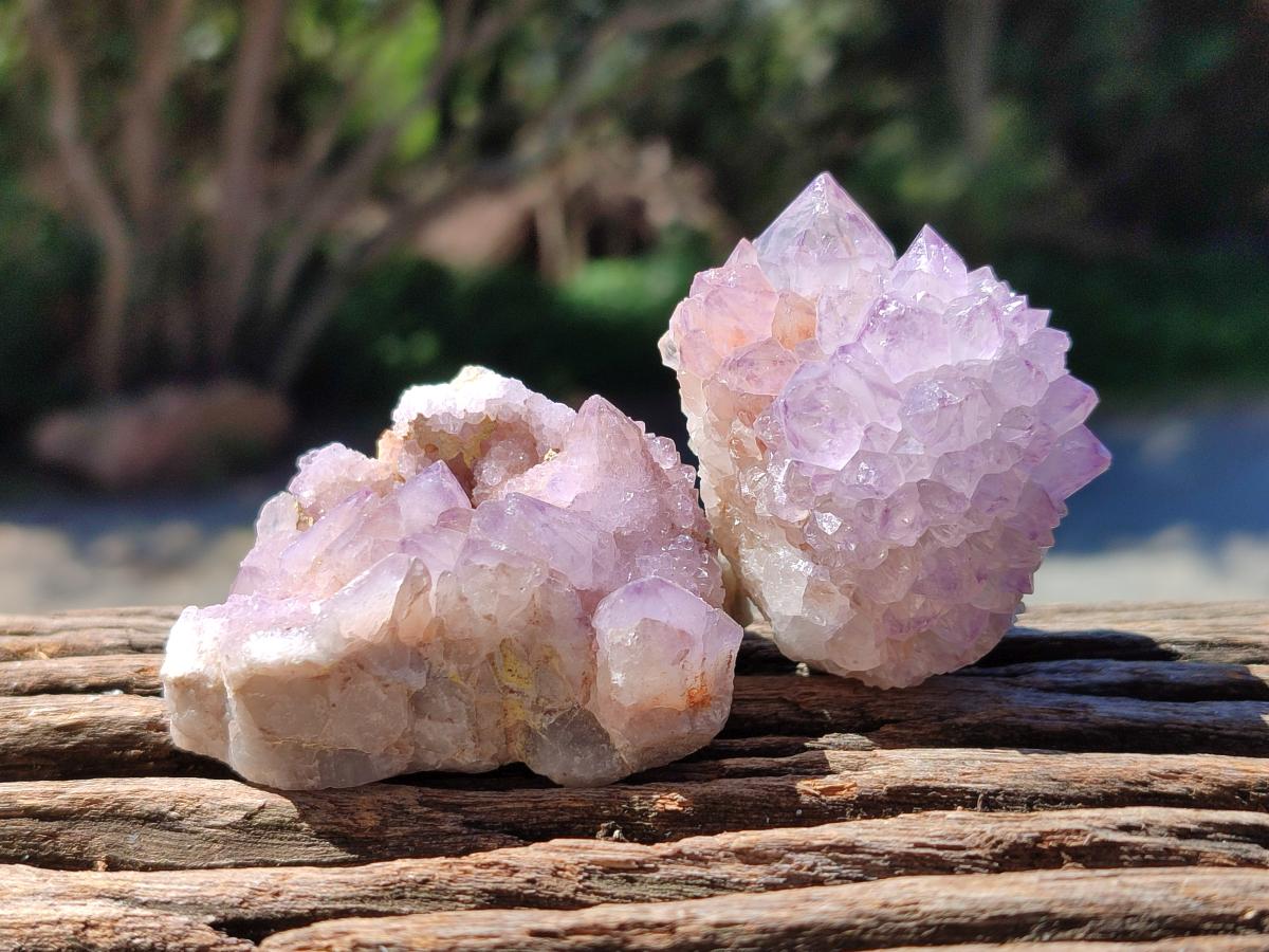 Natural Sunburst Amethyst Spirit Clusters x 20 From Boekenhouthoek, South Africa