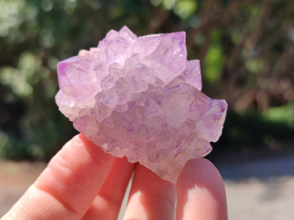 Natural Sunburst Amethyst Spirit Clusters x 20 From Boekenhouthoek, South Africa