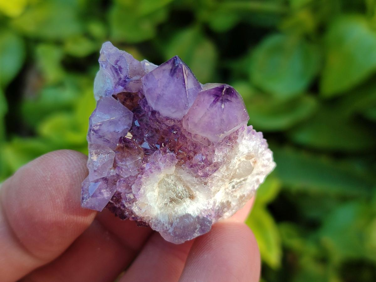 Natural Sunburst Amethyst Spirit Clusters x 20 From Boekenhouthoek, South Africa