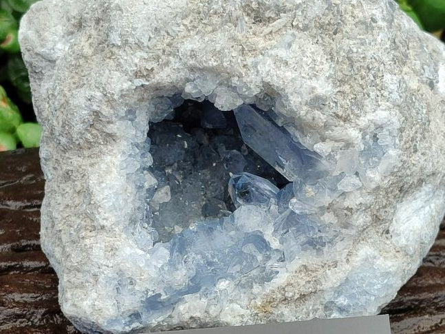 Natural Blue Celestite Geode Specimen x 1 From Sakoany, Madagascar