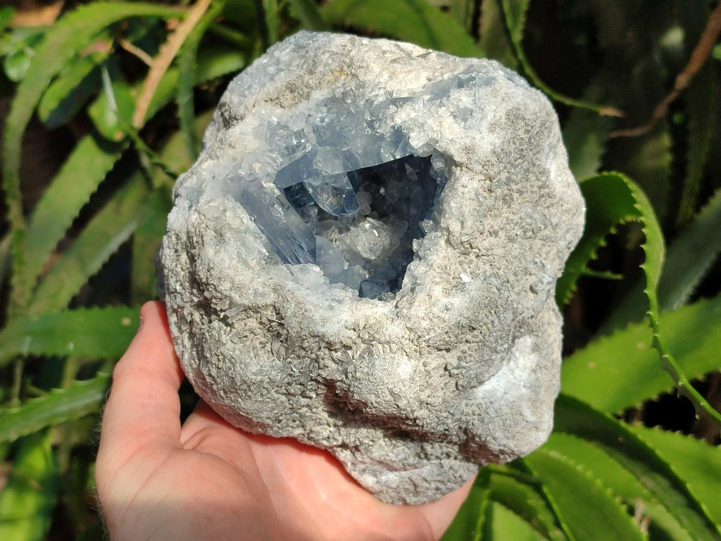 Natural Blue Celestite Geode Specimen x 1 From Sakoany, Madagascar