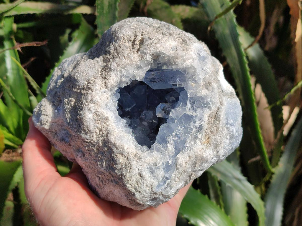 Natural Blue Celestite Geode Specimen x 1 From Sakoany, Madagascar