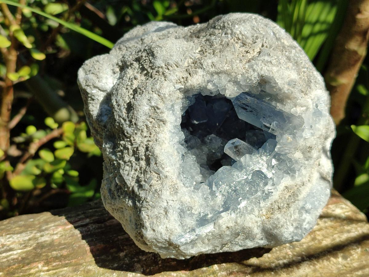 Natural Blue Celestite Geode Specimen x 1 From Sakoany, Madagascar