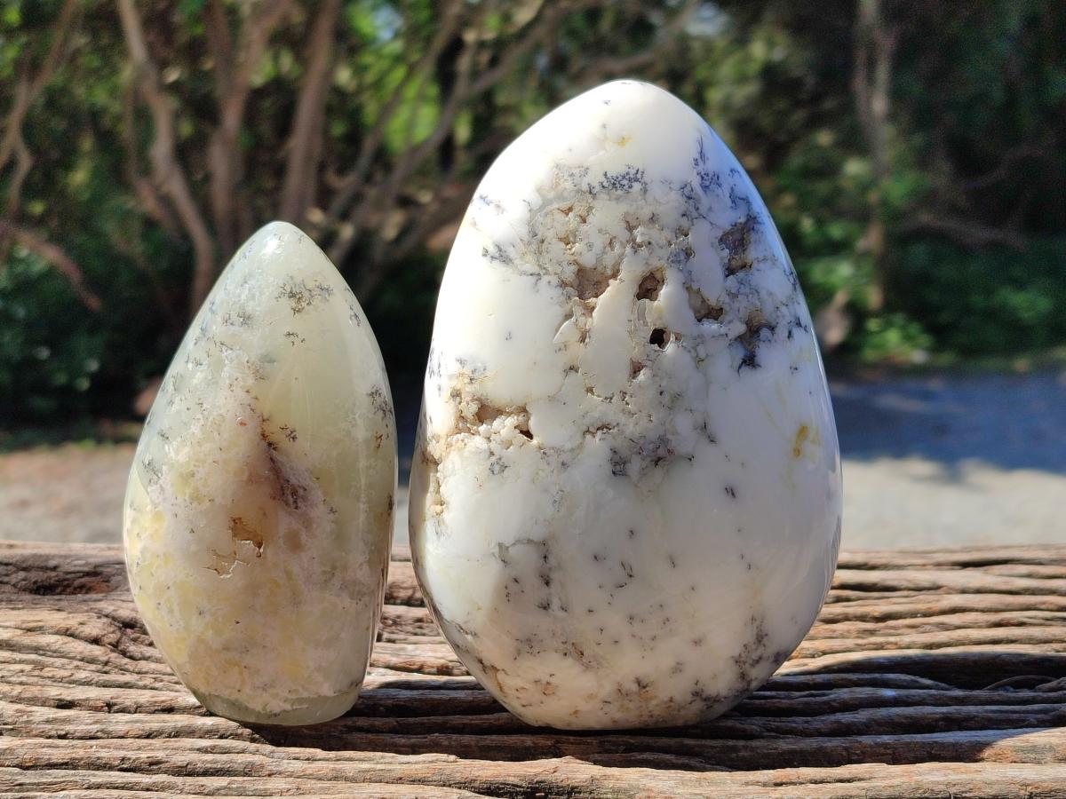 Polished Dendritic Opal Standing Free Forms x 2 From Moralambo, Madagascar