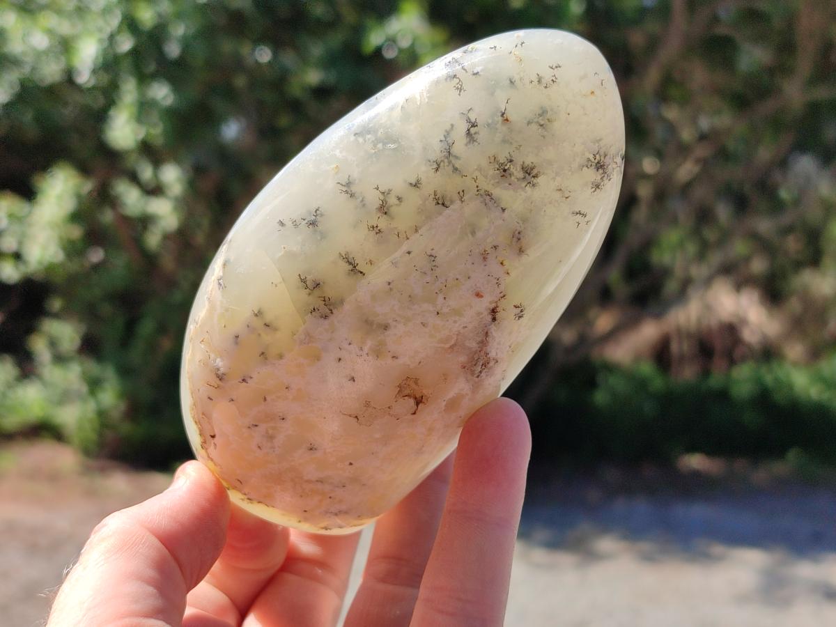 Polished Dendritic Opal Standing Free Forms x 2 From Moralambo, Madagascar