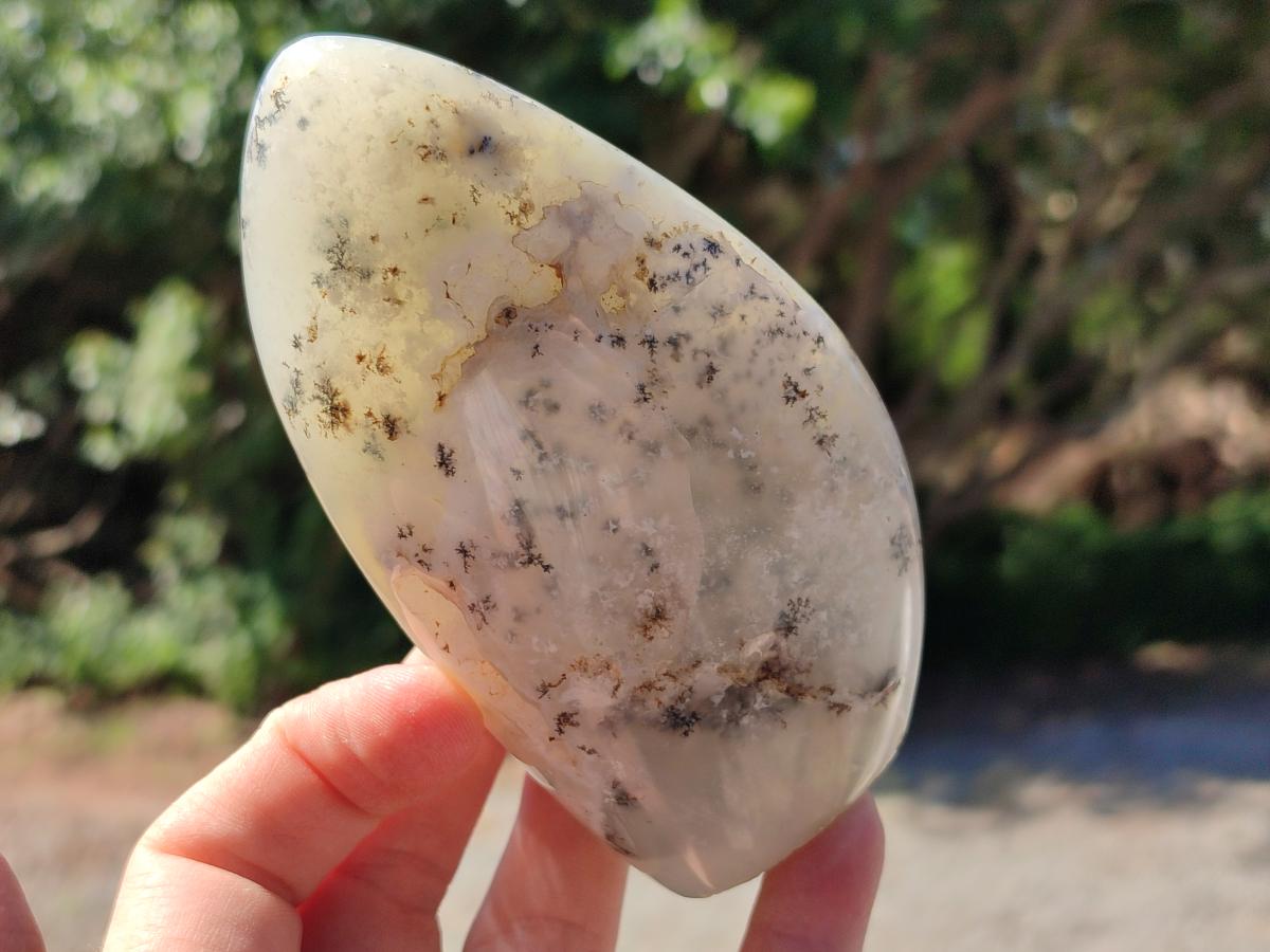 Polished Dendritic Opal Standing Free Forms x 2 From Moralambo, Madagascar
