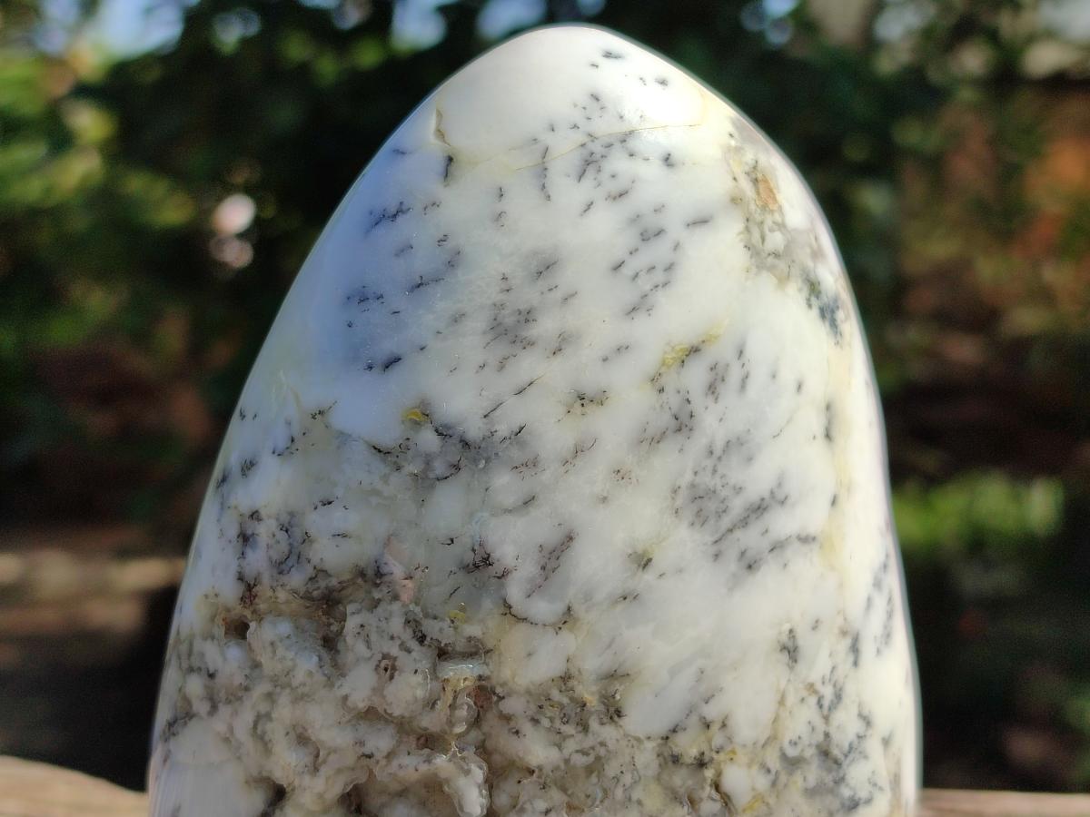 Polished Dendritic Opal Standing Free Forms x 2 From Moralambo, Madagascar