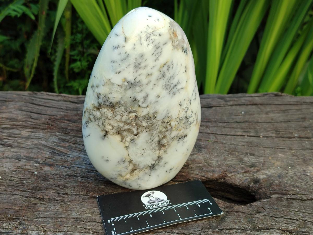 Polished Dendritic Opal Standing Free Forms x 2 From Moralambo, Madagascar
