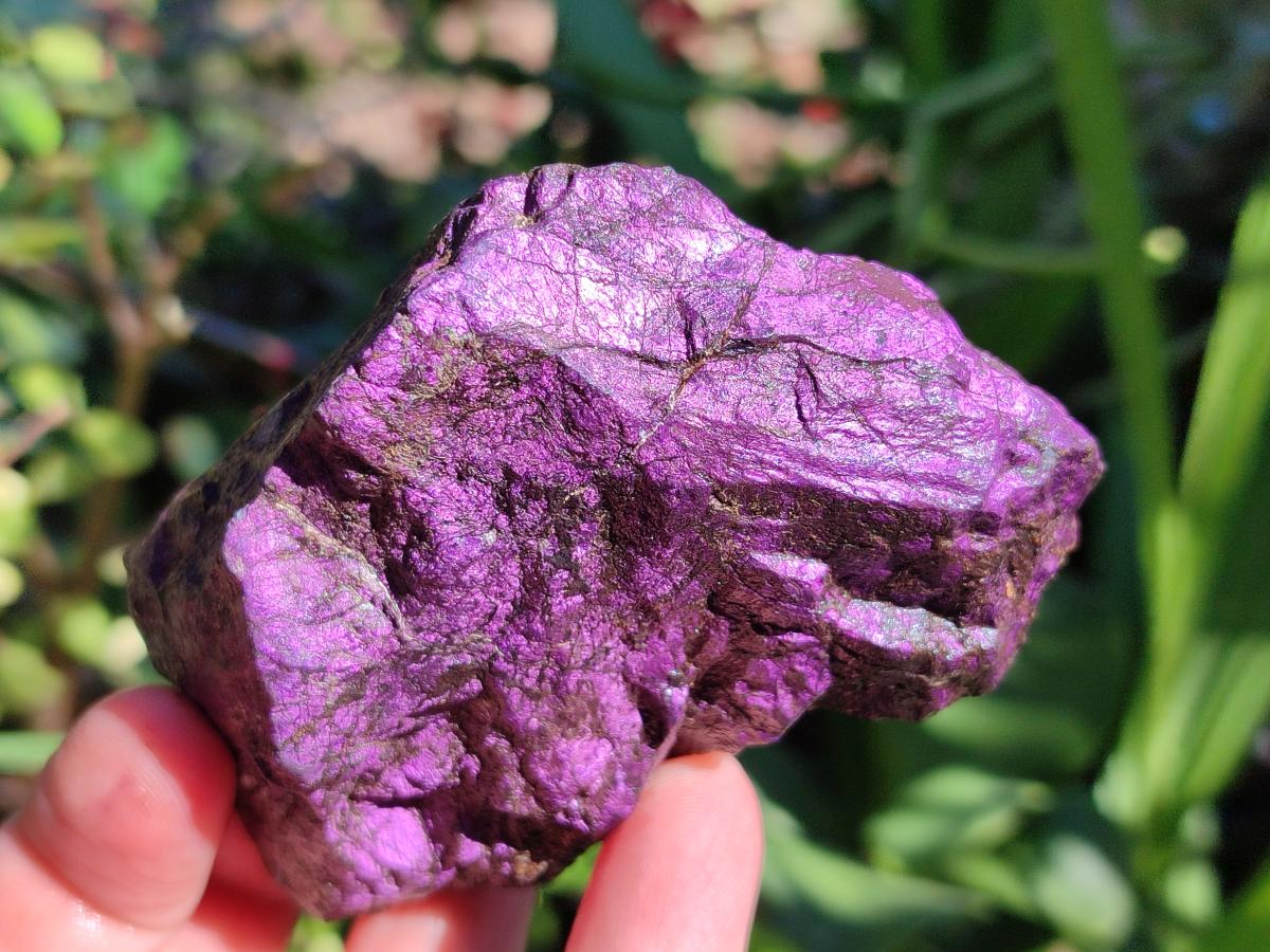 Natural Metallic Purpurite Specimens x 12 From Erongo, Namibia