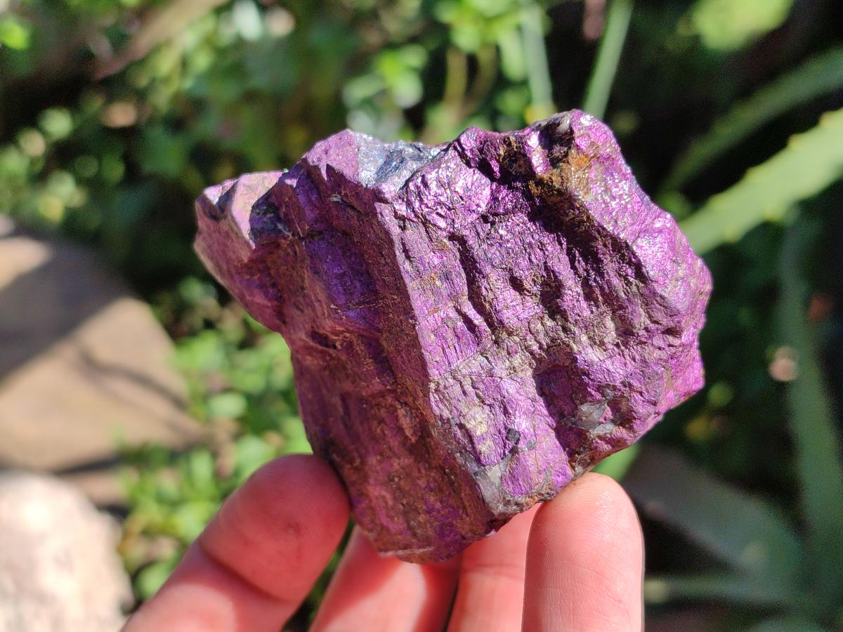 Natural Metallic Purpurite Specimens x 12 From Erongo, Namibia
