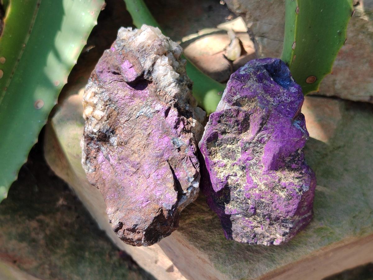 Natural Metallic Purpurite Specimens x 12 From Erongo, Namibia